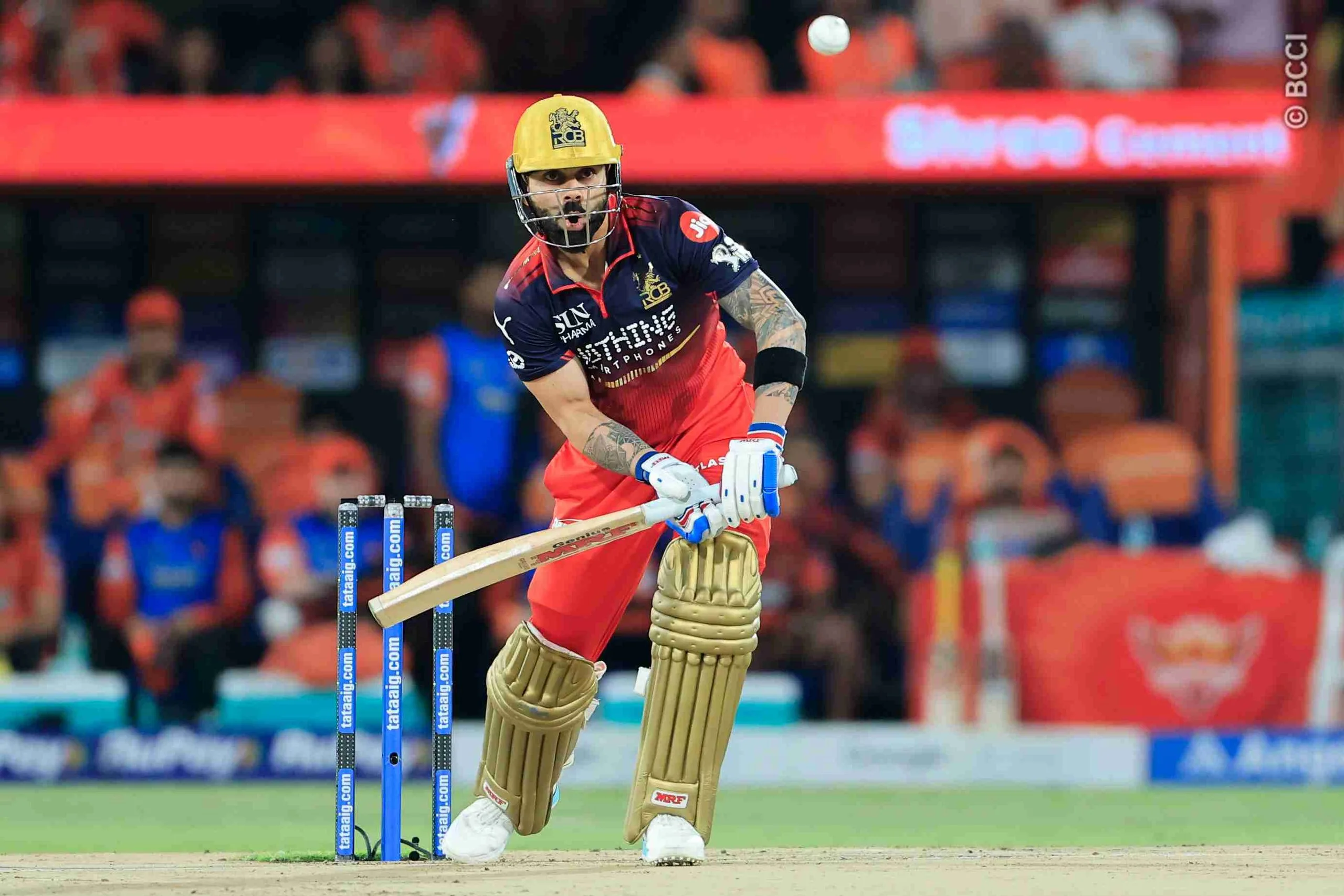Sunrisers Hyderabad Vs Royal Challengers Bengaluru Match 67 — photo 12